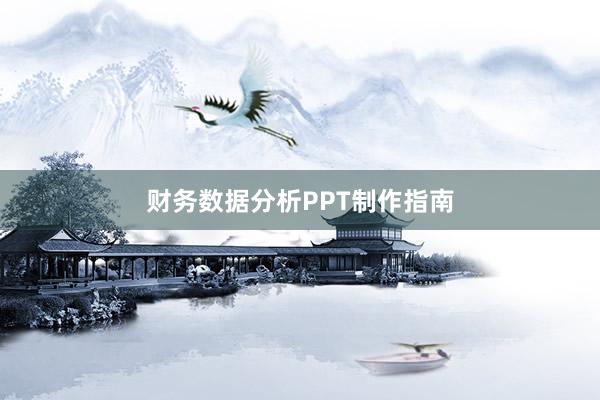 财务数据分析PPT制作指南